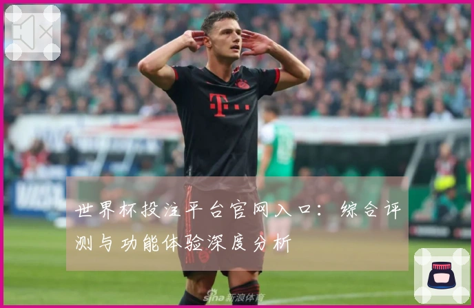 世界杯投注平台官网入口：综合评测与功能体验深度分析