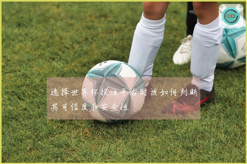 选择世界杯投注平台时该如何判断其可信度和安全性