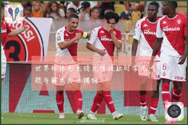 世界杯体彩竞猜充值提款时常见问题与解决办法揭秘