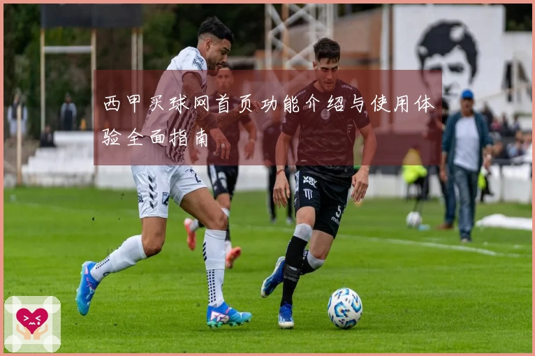 西甲买球网首页功能介绍与使用体验全面指南