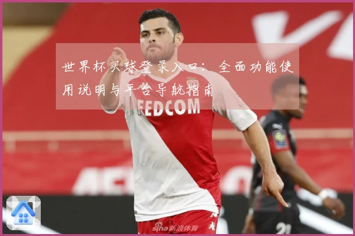 世界杯买球登录入口：全面功能使用说明与平台导航指南