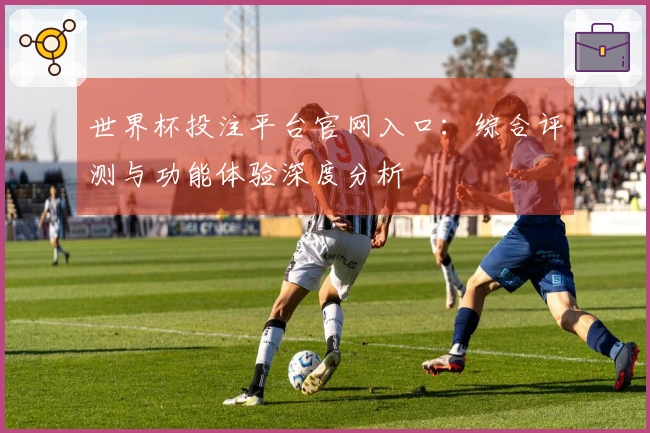 世界杯投注平台官网入口：综合评测与功能体验深度分析