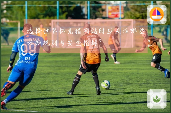 选择世界杯竞猜网站时应关注哪些必知规则与安全指标？