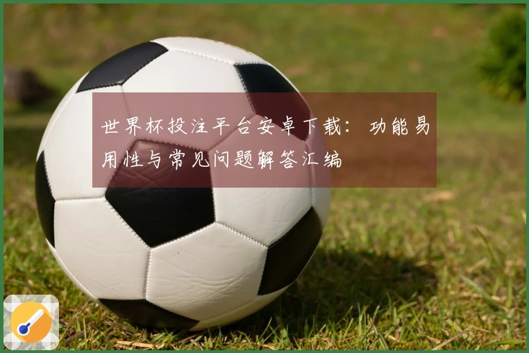 世界杯投注平台安卓下载：功能易用性与常见问题解答汇编
