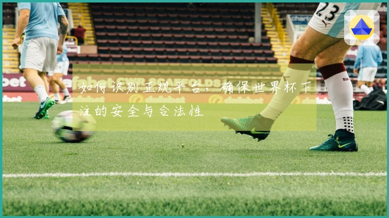 如何识别正规平台，确保世界杯下注的安全与合法性