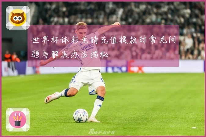 世界杯体彩竞猜充值提款时常见问题与解决办法揭秘